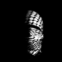 Profile picture of ‌🔻Ni🇵🇸co🔻‌