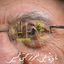 Profile picture of ‌آفریده  🚩‌