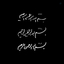 Profile picture of ‌سیّد‌