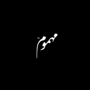 Profile picture of ‌مهموم›‌