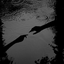 Profile picture of ‌نفس‌
