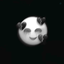 Profile picture of ‌هشدار❗‌