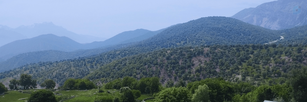 ‌محسن محمدجانی‌'s header picture