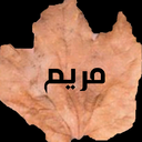 Profile picture of ‌ܩܝ‌ࡅ࡙ܩـ‌ـ 🇵🇸‌