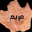 Profile picture of ‌ܩܝ‌ࡅ࡙ܩـ‌ـ 🇵🇸‌
