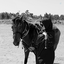 Profile picture of ‌Fateme Alizade‌