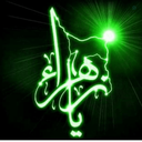 Profile picture of ‌علی زرگری‌