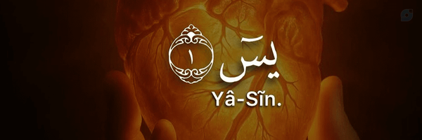‌سایه‌'s header picture