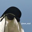Profile picture of ‌soul‌