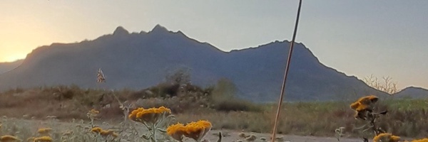 ‌سجاد اسدی‌'s header picture
