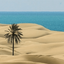 Profile picture of ‌یکی به اسم احمد!‌