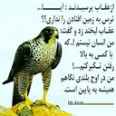 Profile picture of ‌میثم‌