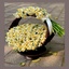 Profile picture of ‌گل نرگس‌