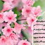 Profile picture of ‌سرباز امام مهدی‌
