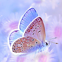 Profile picture of ‌طاها یاس‌