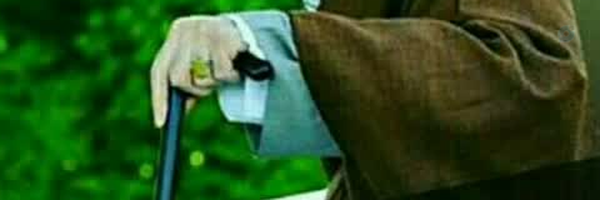 ‌مهدی رضا‌'s header picture