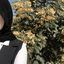 Profile picture of ‌Sara³¹⁵ | 🖤‌