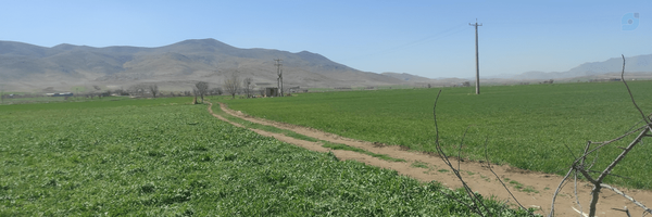 ‌حاج مرتضی خمیس آبادی‌'s header picture