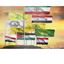 Profile picture of ‌Sina Malek‌