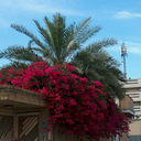 Profile picture of ‌مرادی‌