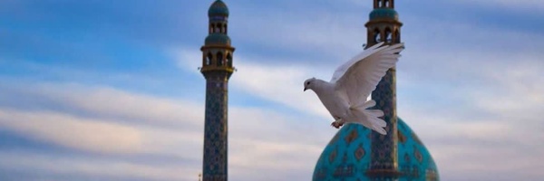 ‌علی حیدر‌'s header picture