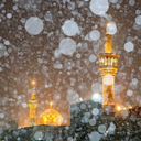 Profile picture of ‌میلاد‌