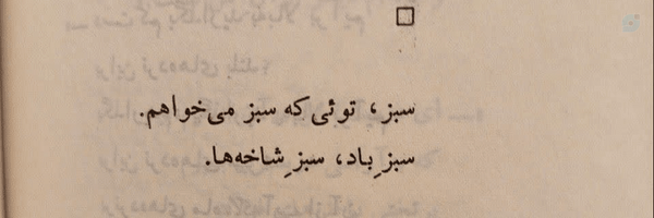 ‌حانیه‌سادات ☫~‌'s header picture