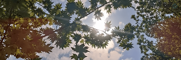 ‌حسنیه خانوم‌'s header picture