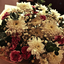 Profile picture of ‌مونا عرفانی ꧂ღ╭⊱ ...‌