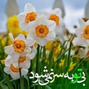 Profile picture of ‌فاطمه رضایی‌