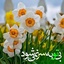 Profile picture of ‌فاطمه رضایی‌