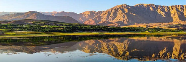 ‌Solat Gholami‌'s header picture