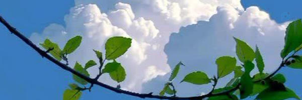 ‌جهان منتظر‌'s header picture
