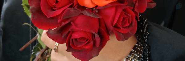 ‌F_Rahimi‌'s header picture