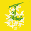 Profile picture of ‌گردآفرید‌