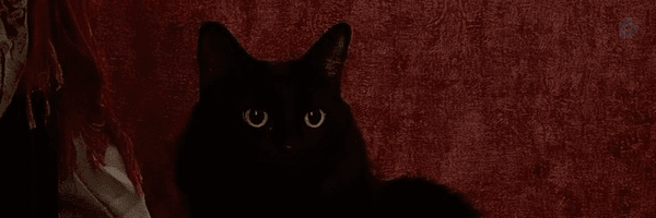 ‌dno‌'s header picture
