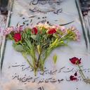 Profile picture of ‌مهره ای گم در شطرنج الهی🇮🇷🎒‌