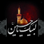 Profile picture of ‌طاها ابوطالبی | وبلاگ education 3224 | 🇮🇷 |‌