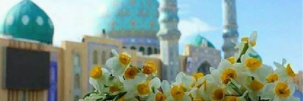 ‌سیدعلی موسوی‌'s header picture
