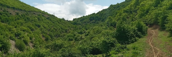 ‌علی رحیمی‌'s header picture