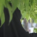 Profile picture of ‌•• شَهـیـده‍ گُمـنـام ••‌