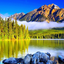 Profile picture of ‌نیما جبرائیلی‌