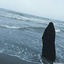 Profile picture of ‌Alma‌