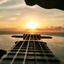 Profile picture of ‌زهرا‌