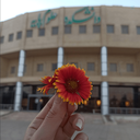 Profile picture of ‌مائده گیلانی‌