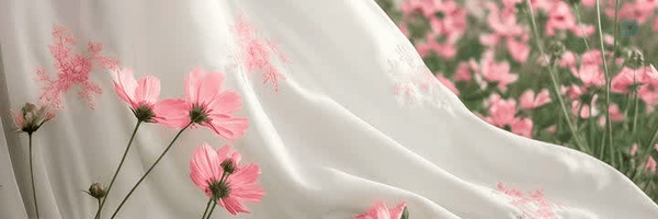 ‌زینب هاشمی‌'s header picture