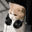 Profile picture of ‌-ᴍɴ‌