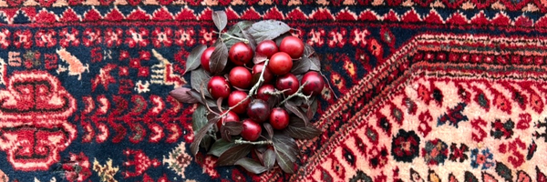 ‌علیرضا فلاح‌'s header picture