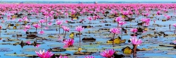 ‌hossein dezfoli‌'s header picture