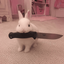 Profile picture of ‌𝐧𝐚𝐳𝐚𝐧𝐢𝐧🎀‌